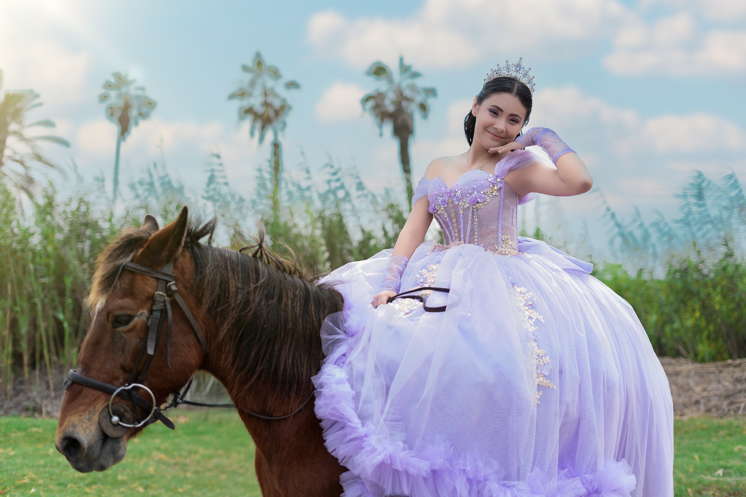 una tierna quinceañera en su sesión con caballos una tierna quinceañera en su sesión con caballos